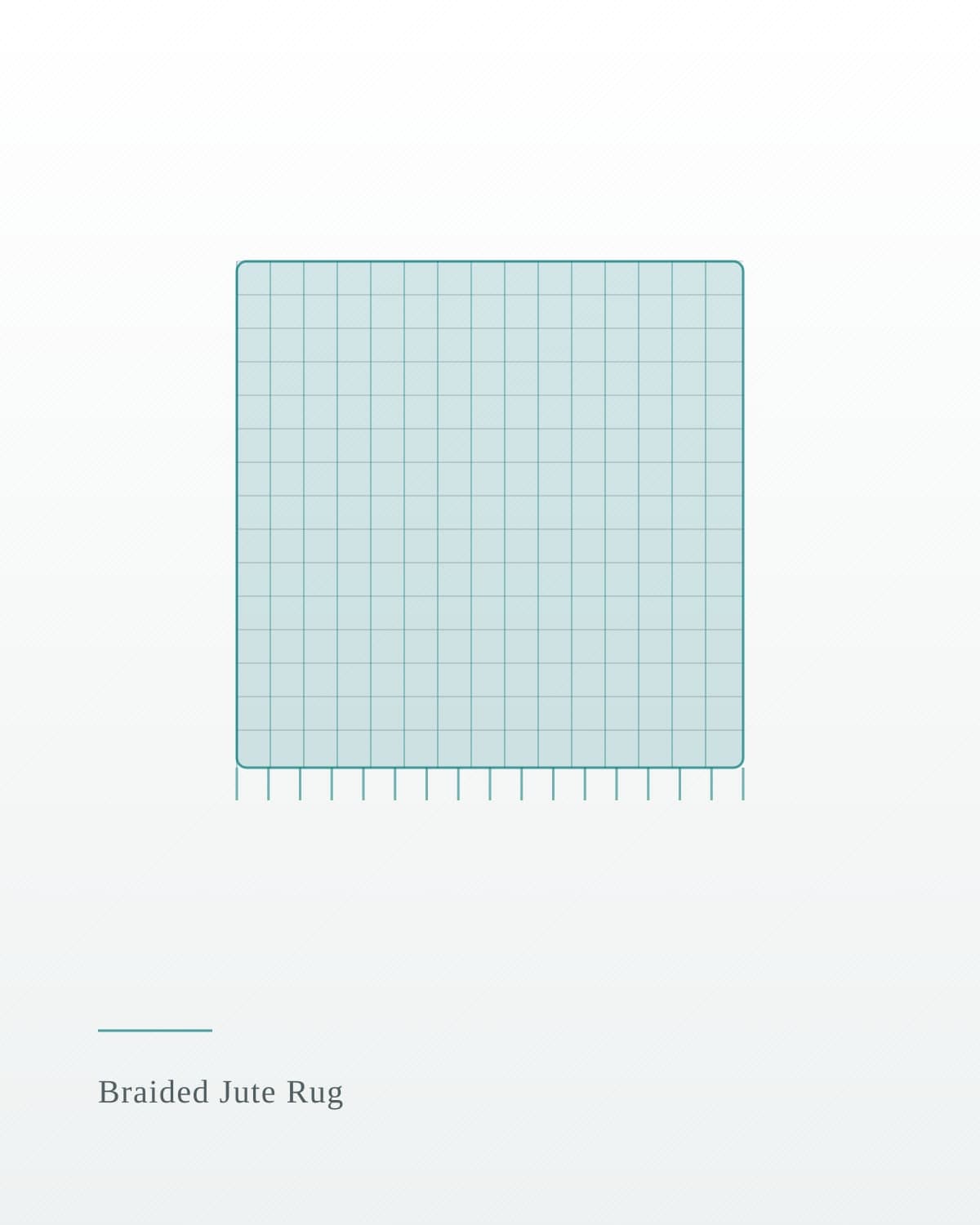 Braided Jute Rug